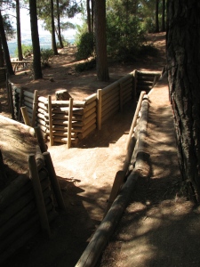reconstructed trenches